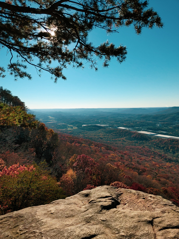 Portrait View Looking Off Lookout Mountain In Chattanooga, TN.